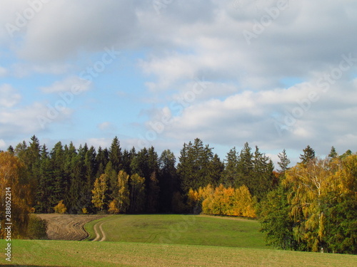 colorful autumn landscape, meadow and forest edge, dramatic clouds, scenic rural fall 