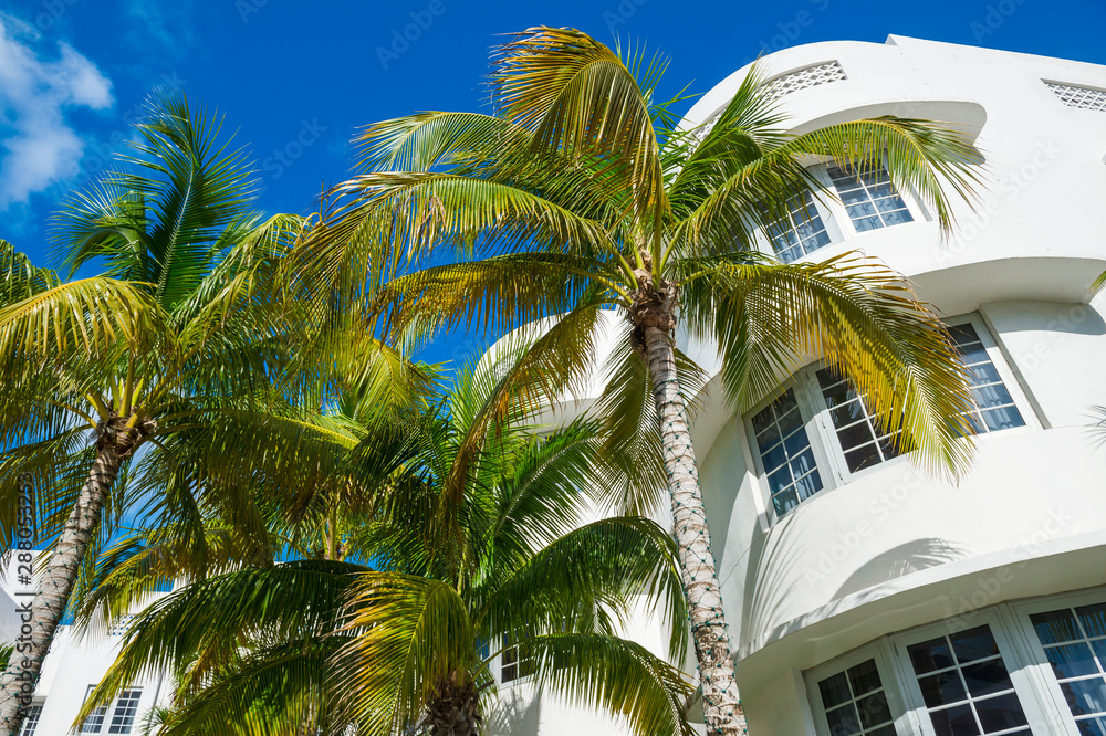 Detail close-up of typical curving Art Deco architecture with tropical palm trees on Ocean Drive in South Beach, Miami, Florida