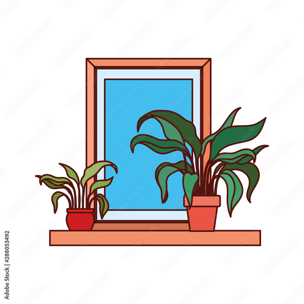 portrait and houseplants in shelf portrait and houseplants in shelf
