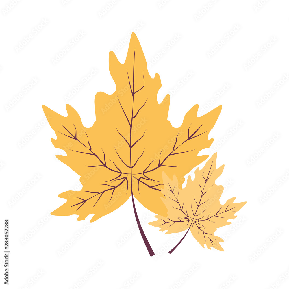 maple leafs autumn pattern background maple leafs autumn pattern background