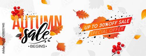 Autumn Fall Season Sale Ad Banner.