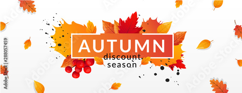 Autumn Fall Season Sale Ad Banner.