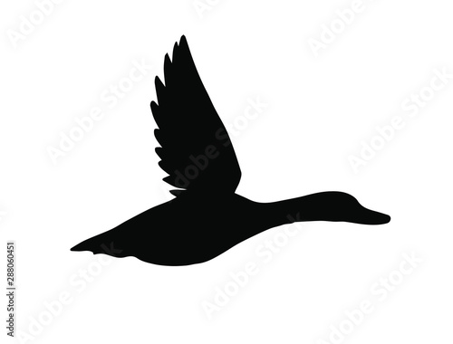 Vector black flying duck silhouette isolated on white background