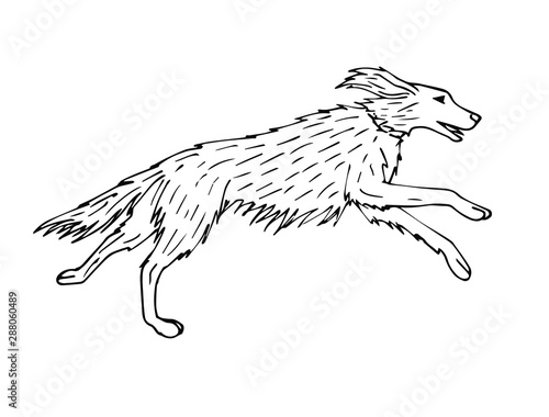Vector hand drawn sketch hunting setter dog isolated on white background