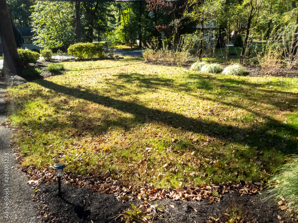 garden in the fall with fallen leaves garden in the fall with fallen leaves