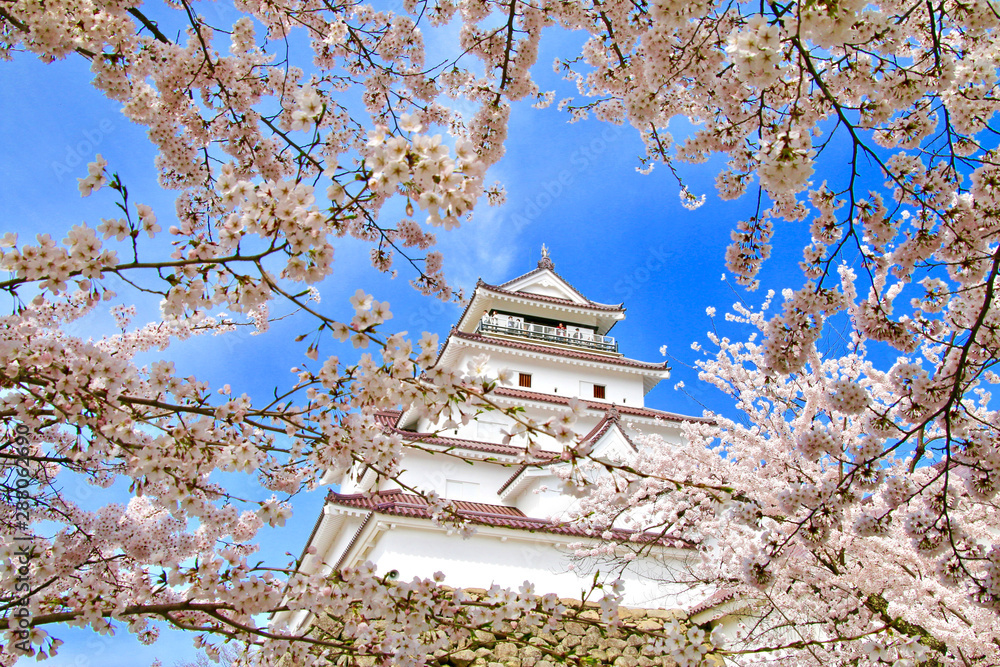 春の鶴ヶ城(福島県・会津若松市) 春の鶴ヶ城(福島県・会津若松市)