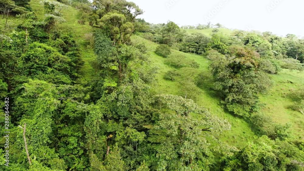 Aerial fly over forest canopy toward the thickly grasses hillside, Costa Rica Aerial fly over forest canopy toward the thickly grasses hillside, Costa Rica