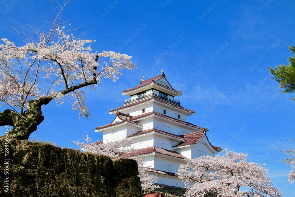 春の鶴ヶ城（福島県・会津若松市）