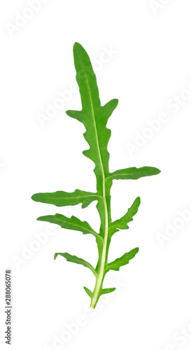 Fresh arugula leaf isolated on white background. Clipping path. Top view.