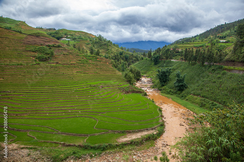 Rice paddies in the mountains near Sapa village, Northern Vietnam