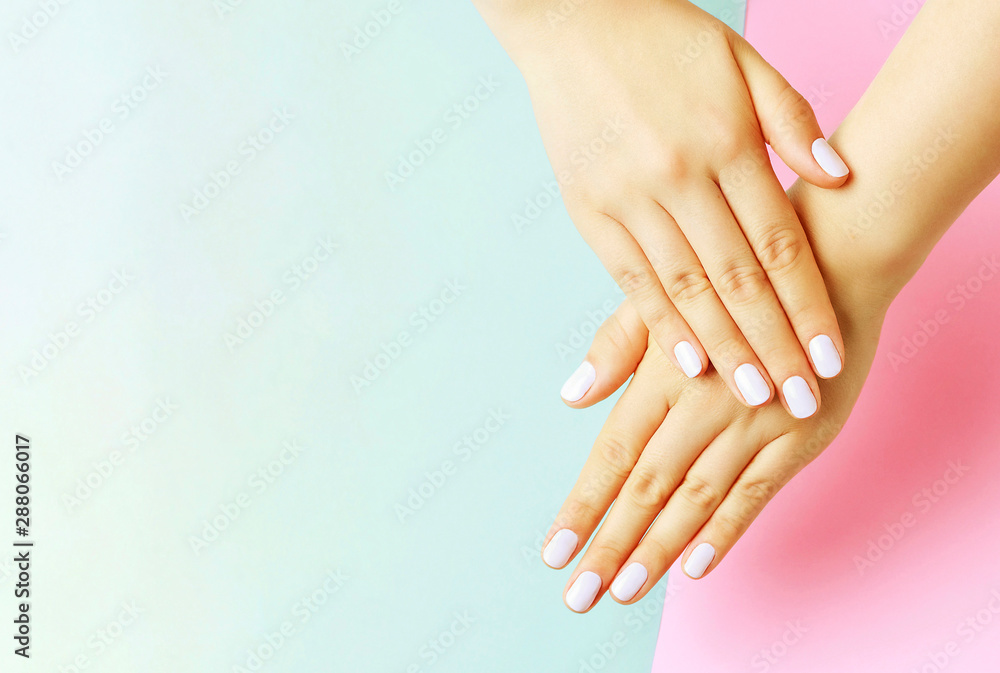 Female hands with white manicure on a pink and blue background, top view