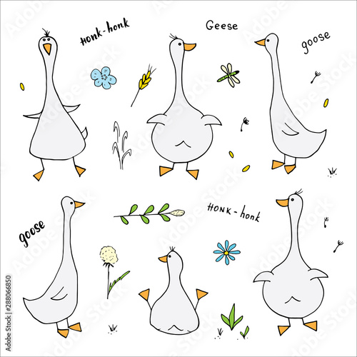 Goose Doodles Set. Cute Geese sketch. Hand drawn Cartoon Vector illustration on white background