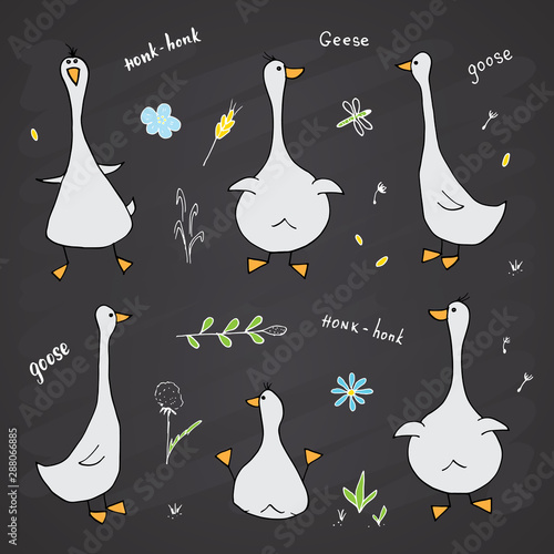 Goose Doodles Set. Cute Geese sketch. Hand drawn Cartoon Vector illustration on chalkboard background
