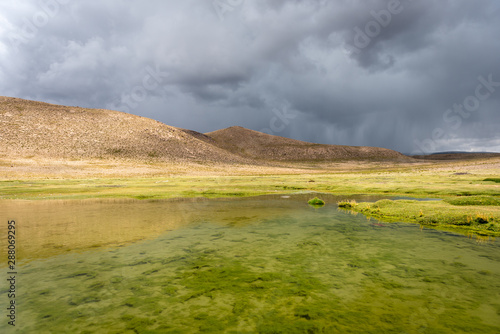 Across the highlands of Peru, endless wetlands fill the horizon with dappled beauty of varying shades of grass and pools of water beneath a stormy grey sky with rain falling on the distant hills © Hal Photography