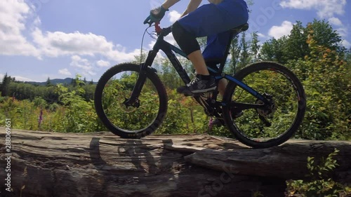 Mountain Biker Balancing Across Log Obstacle in Purple Flower Field photo