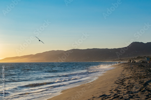 Seagull Soaring Above the Waves