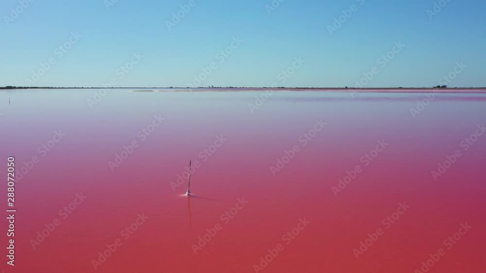 The historical town of Aigues-Mortes in the Camargue, France during a sunny summer day which is located next to a pink salt lake. Aerial shot. The historical town of Aigues-Mortes in the Camargue, France during a sunny summer day which is located next to a pink salt lake. Aerial shot.