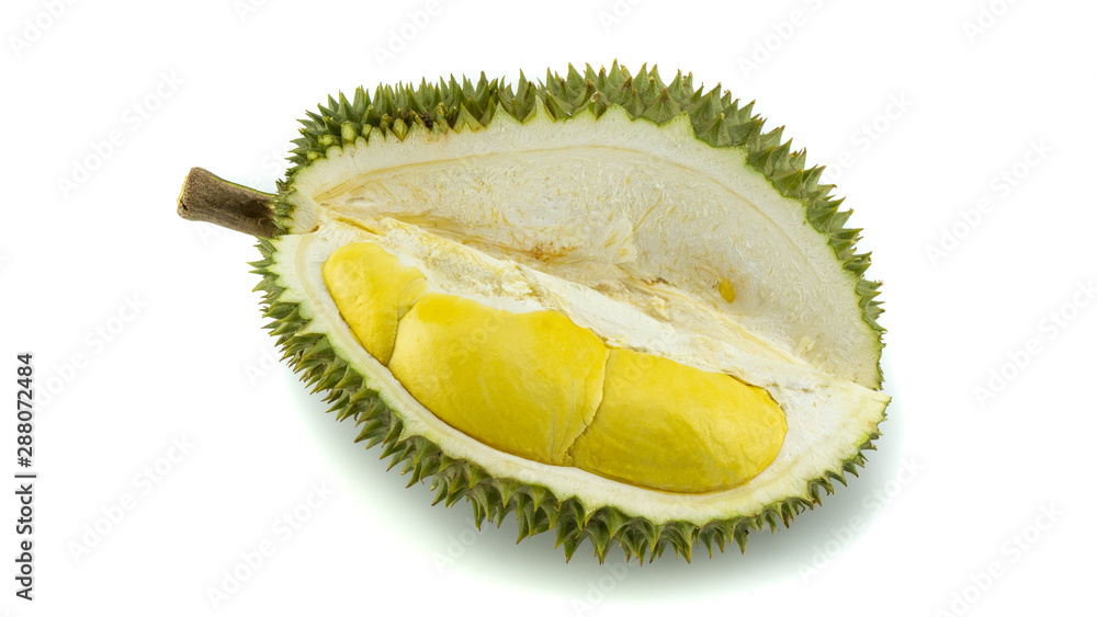 Fototapeta premium Durian, the most famous fruit. Whole and ripped