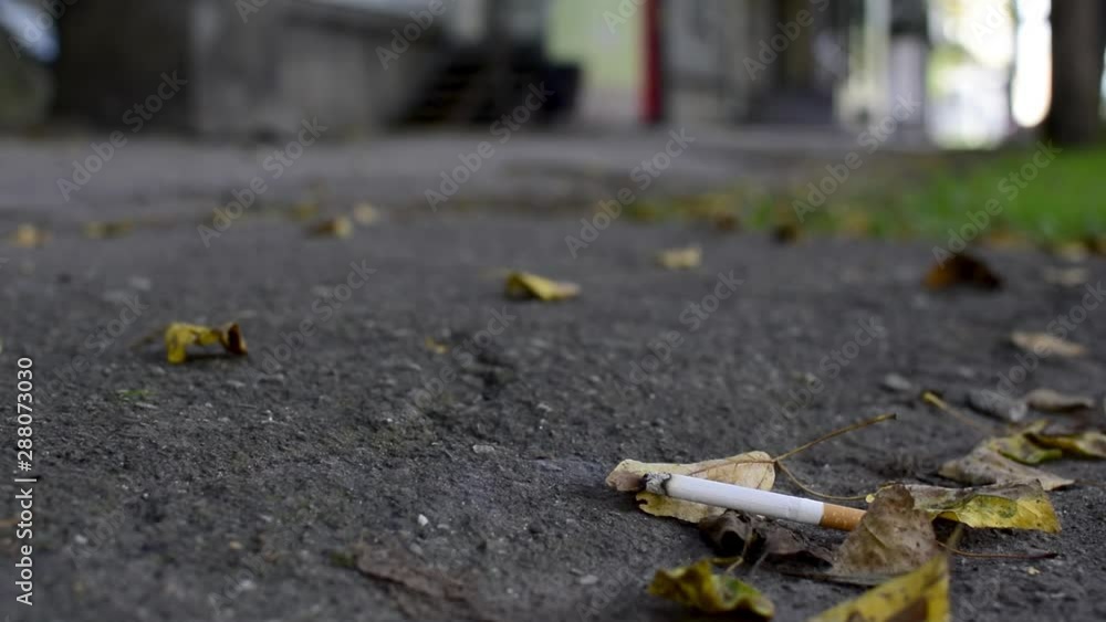 a Smoking cigarette lies on the street on a footpath in the city yard on yellow fallen dry autumn leaves a Smoking cigarette lies on the street on a footpath in the city yard on yellow fallen dry autumn leaves