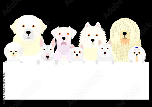 white dog group with white board photo