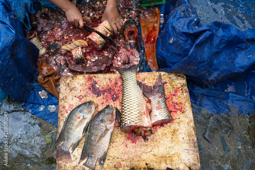 Trader fresh fish in Bac Ha ethnic minorities market or Sunday market at Lao Cai, Vietnam