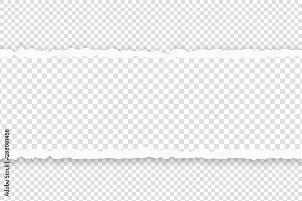 Torn paper with ripped edges. Squared ripped horizontal grey paper with empty spase for text. Rip tear white banner template. Torn paper with ripped edges. Squared ripped horizontal grey paper with empty spase for text. Rip tear white banner template.