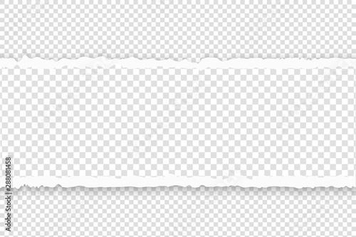 Torn paper with ripped edges. Squared ripped horizontal grey paper with empty spase for text. Rip tear white banner template.