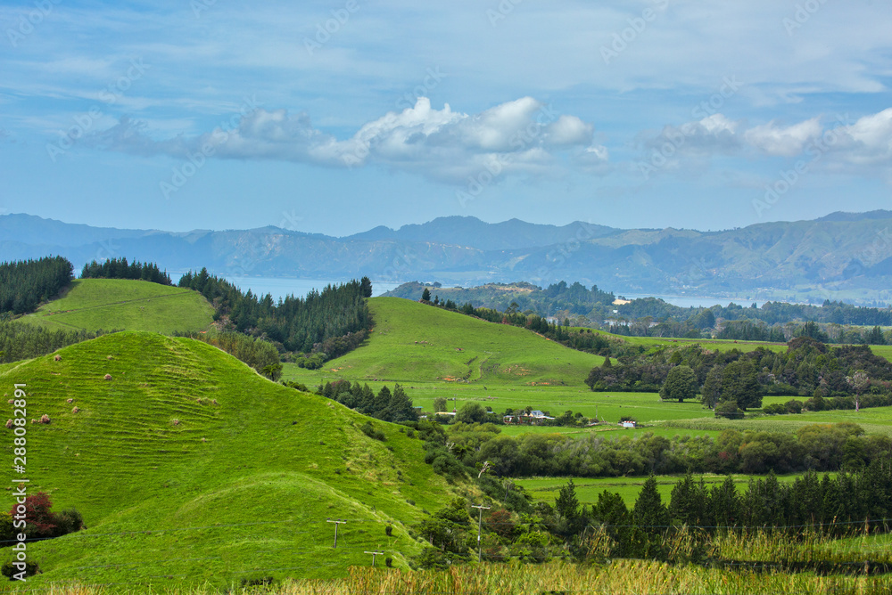 Obraz premium Beautiful agricultural farming country at Cape Farewell in Nelson New Zealand