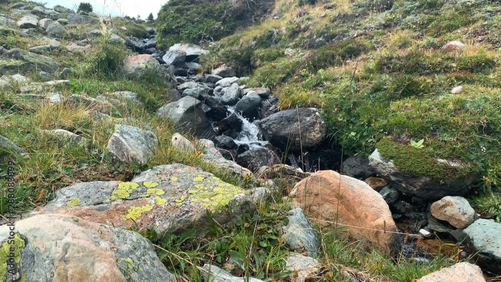 kleiner wilder bach in den alpen. klares wasser, kleine steine und eine idyllische atmosphäre kleiner wilder bach in den alpen. klares wasser, kleine steine und eine idyllische atmosphäre