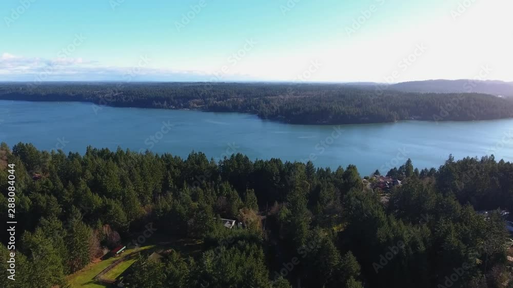 Dolly in with a drone on the woods by the river Dolly in with a drone on the woods by the river