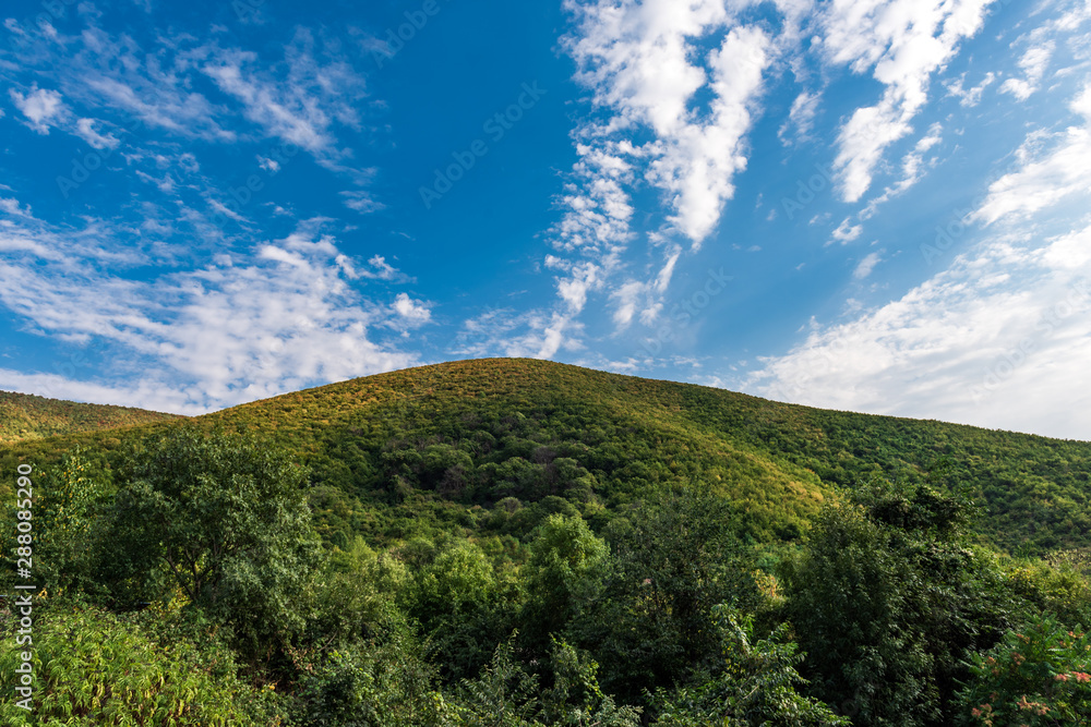 Mountain is covered with dense green forest and blue sky with clouds