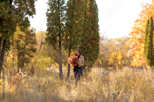 Woman autumn portrait. Cute girl outdoors with a bouquet of yellow maple leaves in the forest, autumn fall concept. Young girl in autumn forest.