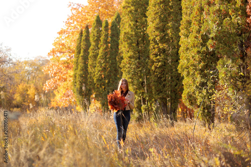 Girl holding a bouquet of autumn maple leaves. Girl walks in the park in autumn, looks at the autumn landscape, beautiful colors of autumn, yellow, orange trees.