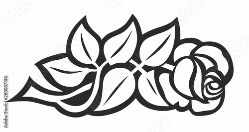 rose0609a