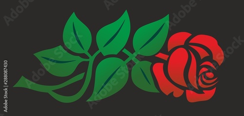 rose0609d