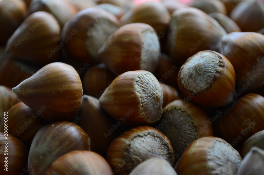 ripe collected hazelnuts on a table close up ripe collected hazelnuts on a table close up