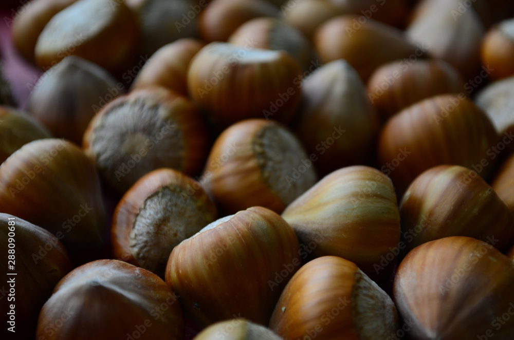 ripe collected hazelnuts on a table close up ripe collected hazelnuts on a table close up