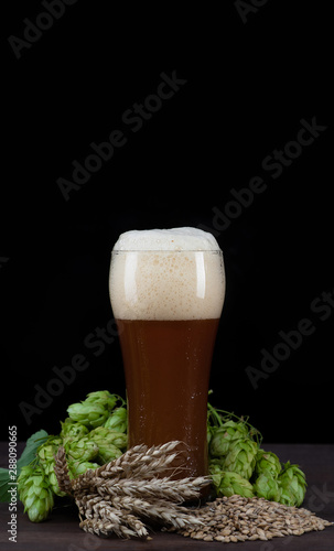 Beer with wheat  and fresh green hops on black wooden table. Empty space for text. Black background