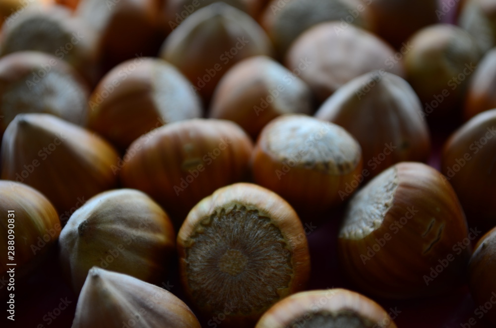 ripe collected hazelnuts on a table close up ripe collected hazelnuts on a table close up