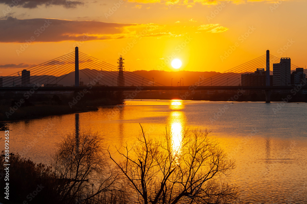 朝日に輝く淀川の水面と樹木と橋