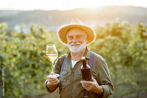 Portrait of a senior well-dressed winemaker checking the wine quality on the vineyard during a sunset. Concept of a winemaking in older age photo