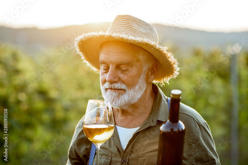 Bild auf Leinwand Portrait of a senior well-dressed winemaker checking the wine quality on the vineyard during a sunset