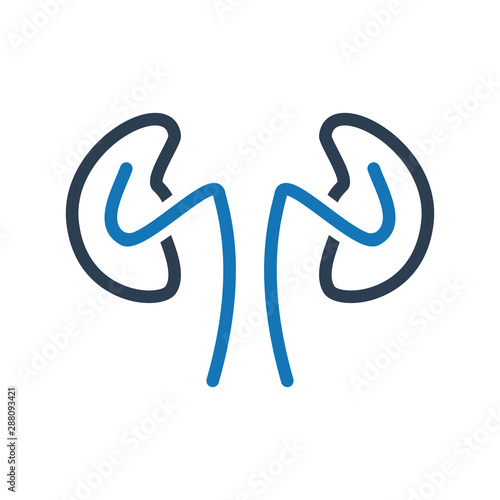 Kidneys icon