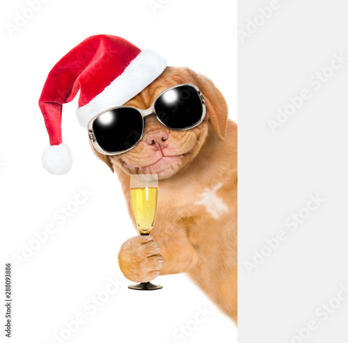 Smiling puppy in red christmas hat holding glass of champagne behind empty white banner. isolated on white background © Ermolaev Alexandr