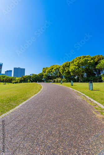 横浜 臨港パークの風景