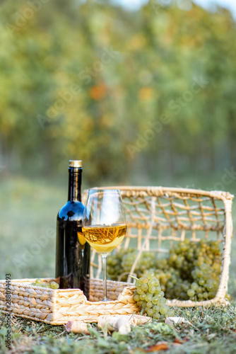 Fototapeta Naklejka Na Ścianę i Meble -  Wine glass and bottle with wicker baskets and grapes on the grass on the vineyard