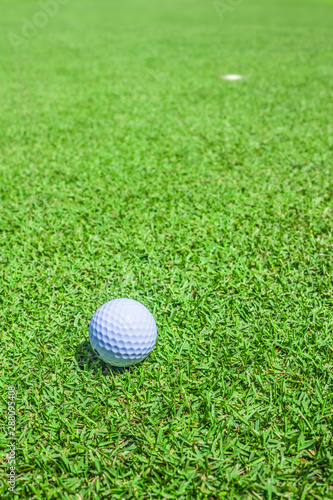 golf ball in green
