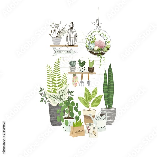 Set of plants in pots, cacti and succulents on shelf, terrarium plant, gardening tools. Cultivating home garden, showcase garden or flowers shop, greenhouse. Flat cartoon vector illustration.