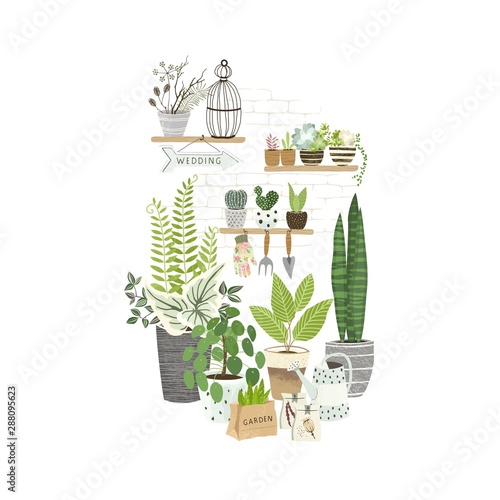 Set of plants in pots, cacti and succulents on shelf, gardening tools. Cultivating home garden, showcase garden or flowers shop, greenhouse. Flat cartoon vector illustration.