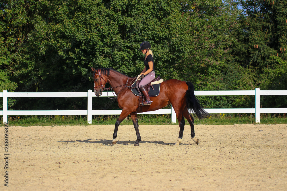Horse with his young blond horsewoman riding in the riding arena in the sunshine.. Horse with his young blond horsewoman riding in the riding arena in the sunshine..